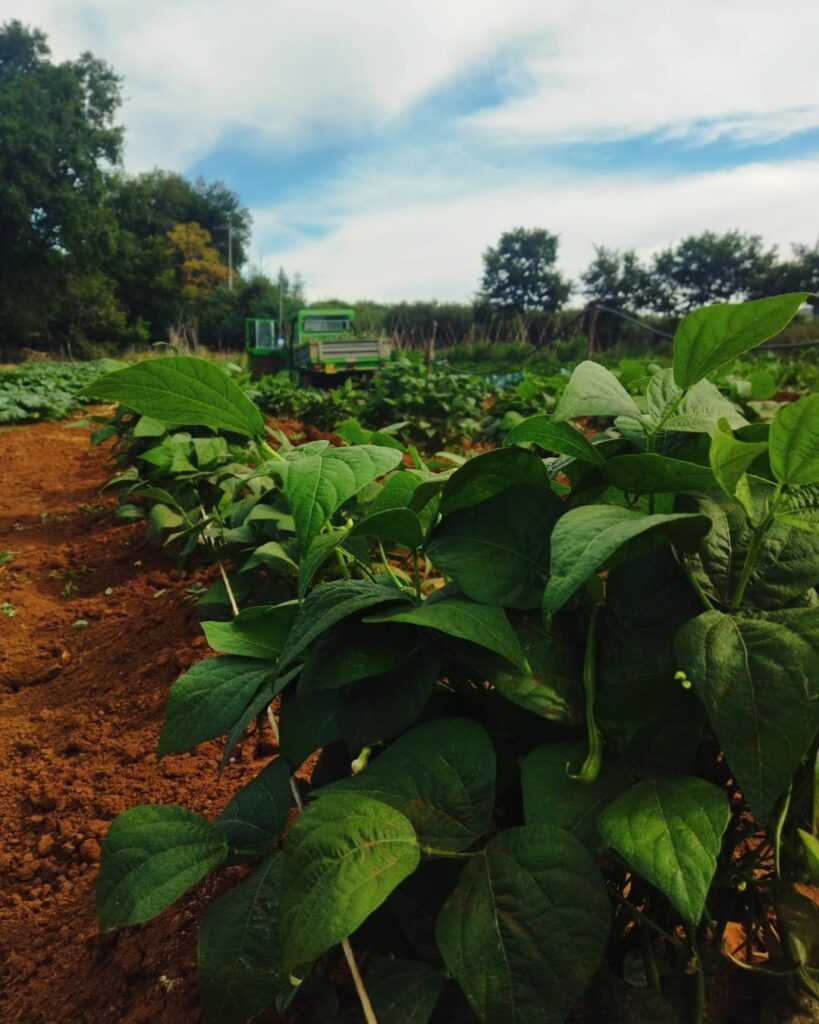 486039452_674216108499315_6999919875359334321_n